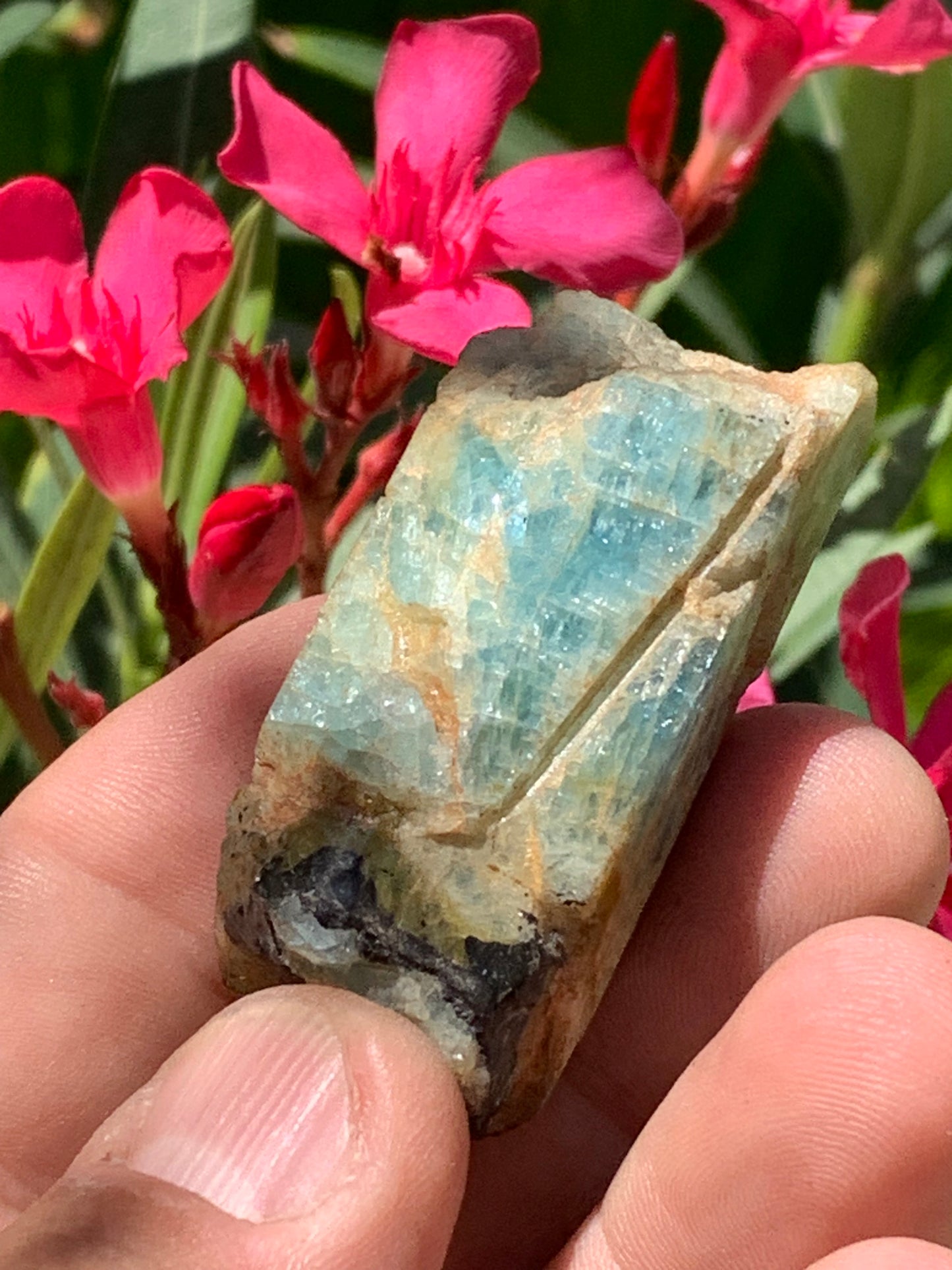 Béryl bleu, spécimen de 52mm x 26 x 23 - 52 grammes. Parfait en collection, exposition, lithothérapie...