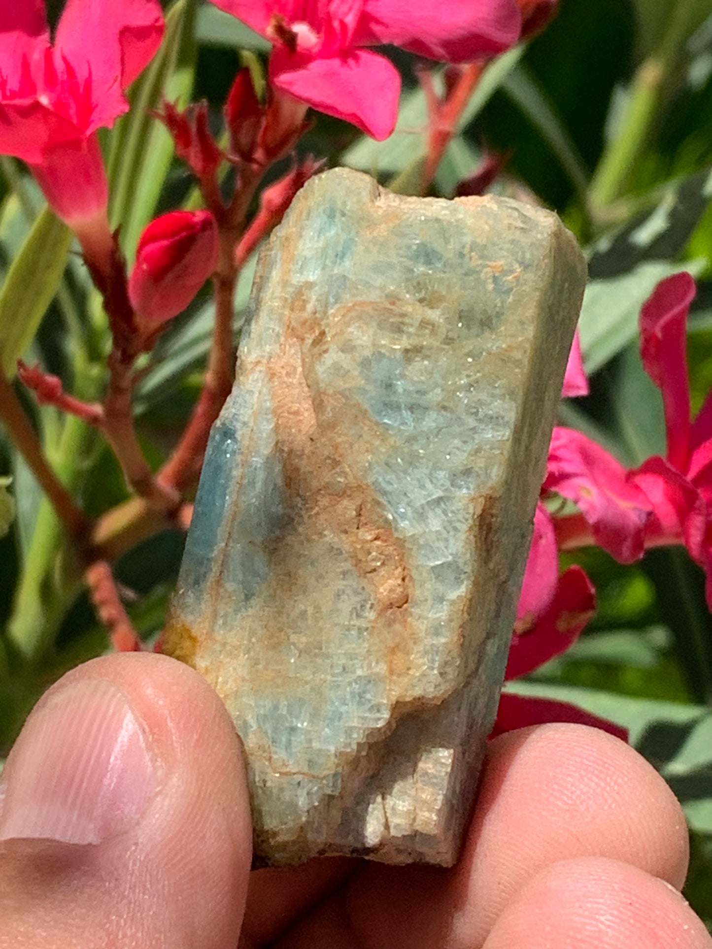 Béryl bleu, spécimen de 52mm x 26 x 23 - 52 grammes. Parfait en collection, exposition, lithothérapie...