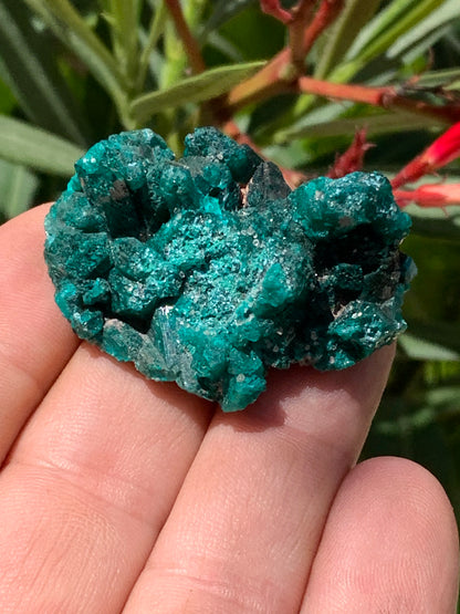 Dioptase, spécimen cristalisé de 46mm x 30 x 20 - 28 grammes ! Rare et puissante en minéralogie et lithothérapie !