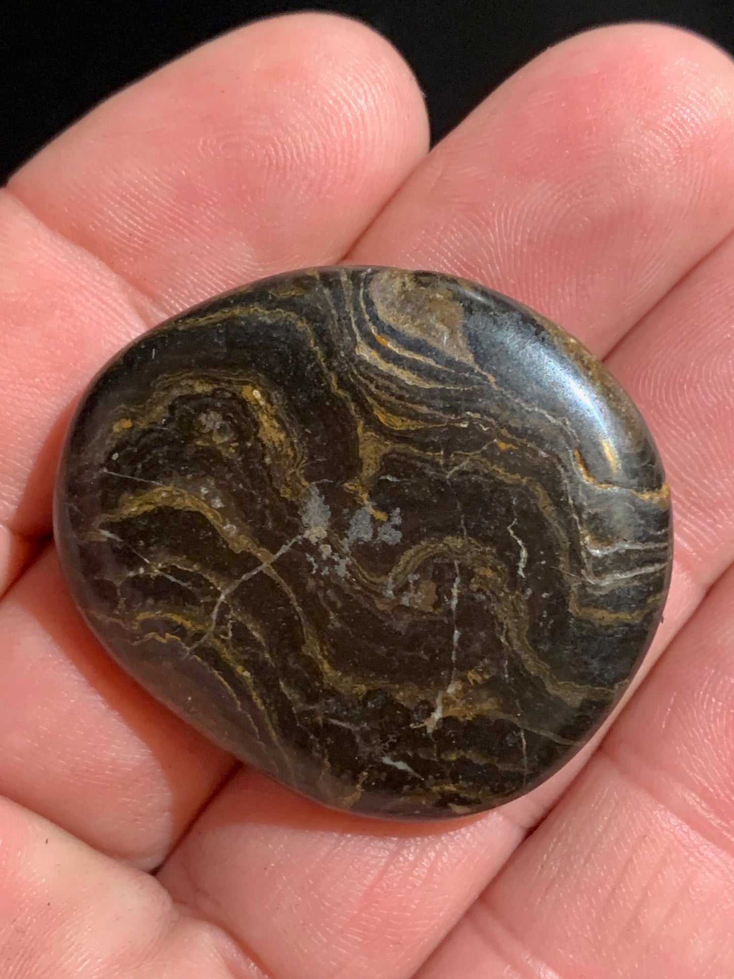 Stromatolite, galet/ pierre plate de 41 x 36 x 9 mm - 21,7 gr.