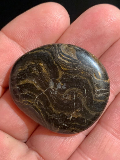 Stromatolite, galet/ pierre plate de 41 x 36 x 9 mm - 21,7 gr.