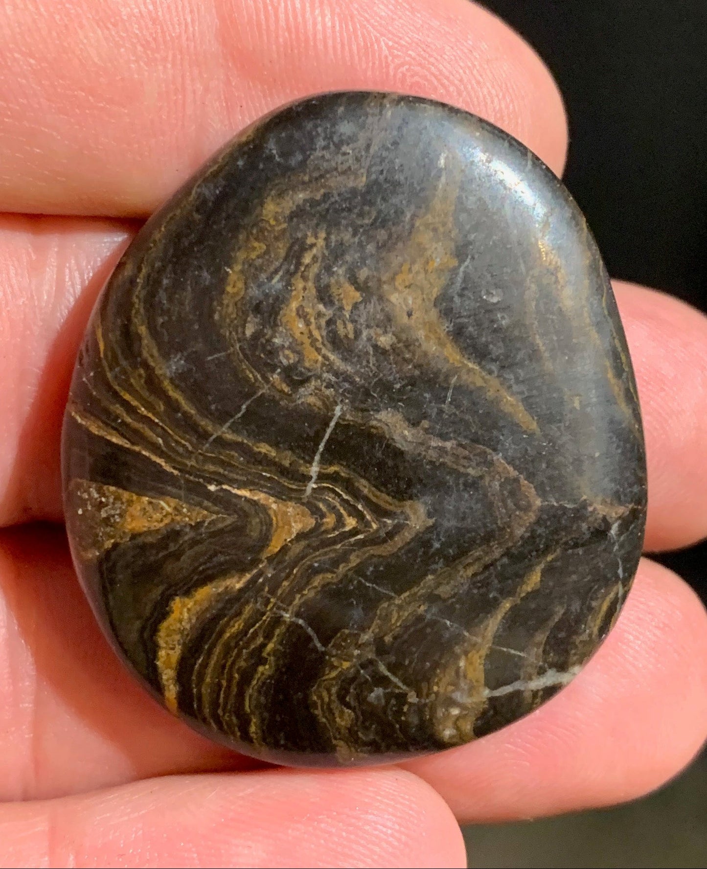Stromatolite, galet/ pierre plate de 41 x 36 x 9 mm - 21,7 gr.
