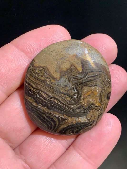 Stromatolite, galet/ pierre plate de 46 x 42 x 9 mm - 26,9 gr.