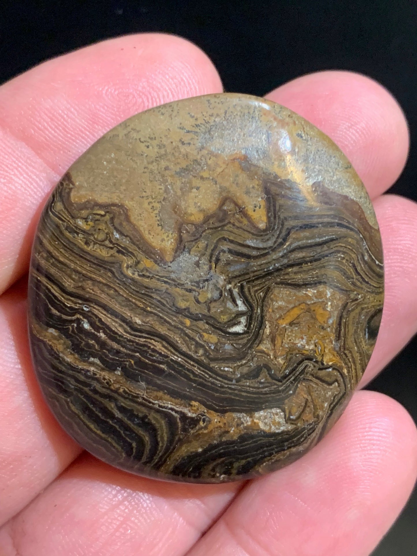 Stromatolite, galet/ pierre plate de 46 x 42 x 9 mm - 26,9 gr.