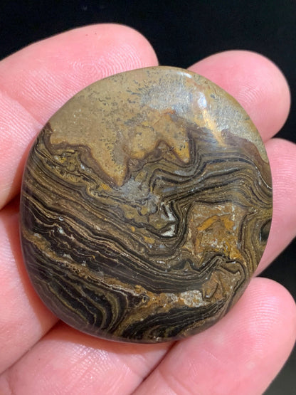 Stromatolite, galet/ pierre plate de 46 x 42 x 9 mm - 26,9 gr.