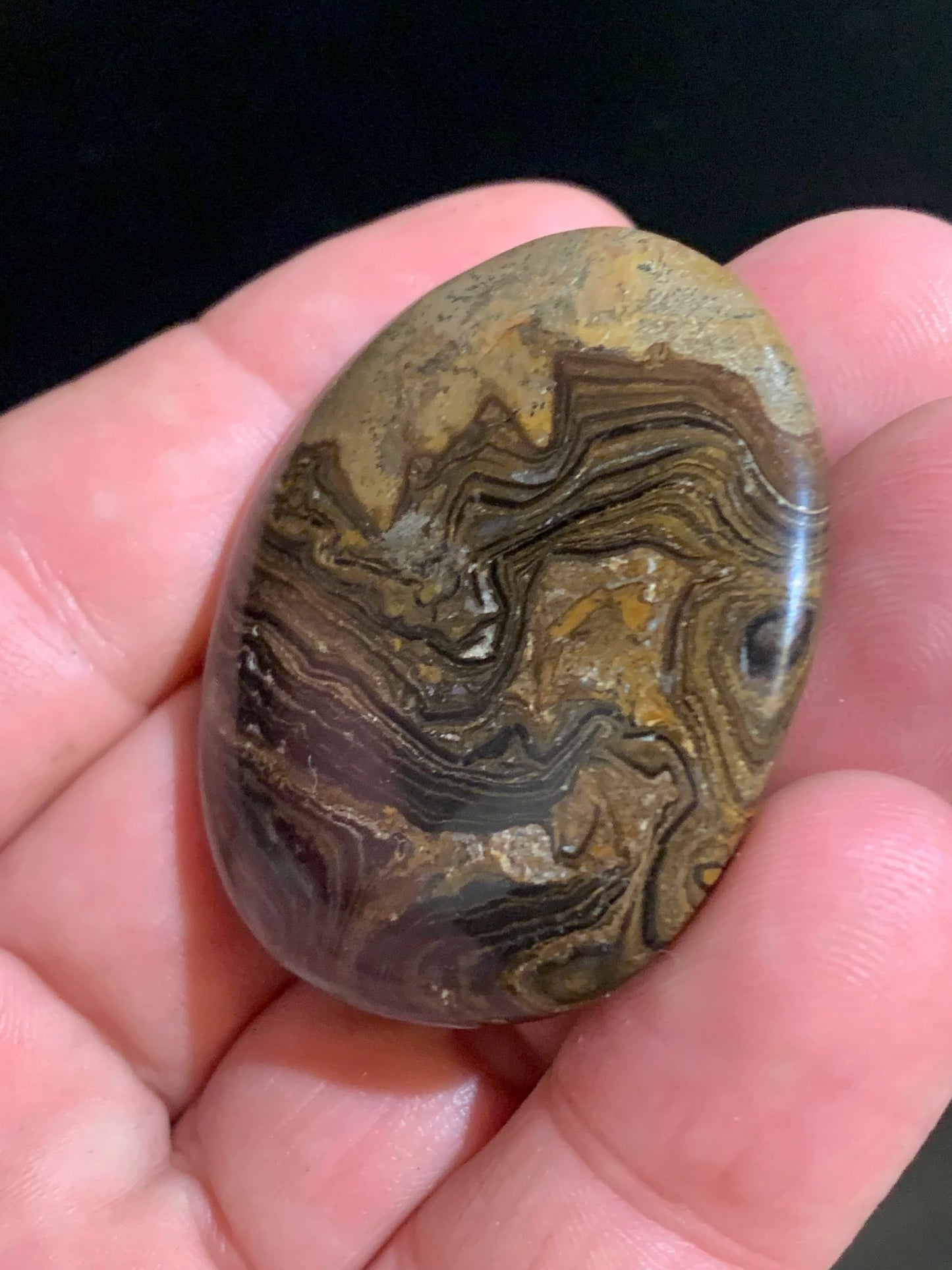 Stromatolite, galet/ pierre plate de 46 x 42 x 9 mm - 26,9 gr.