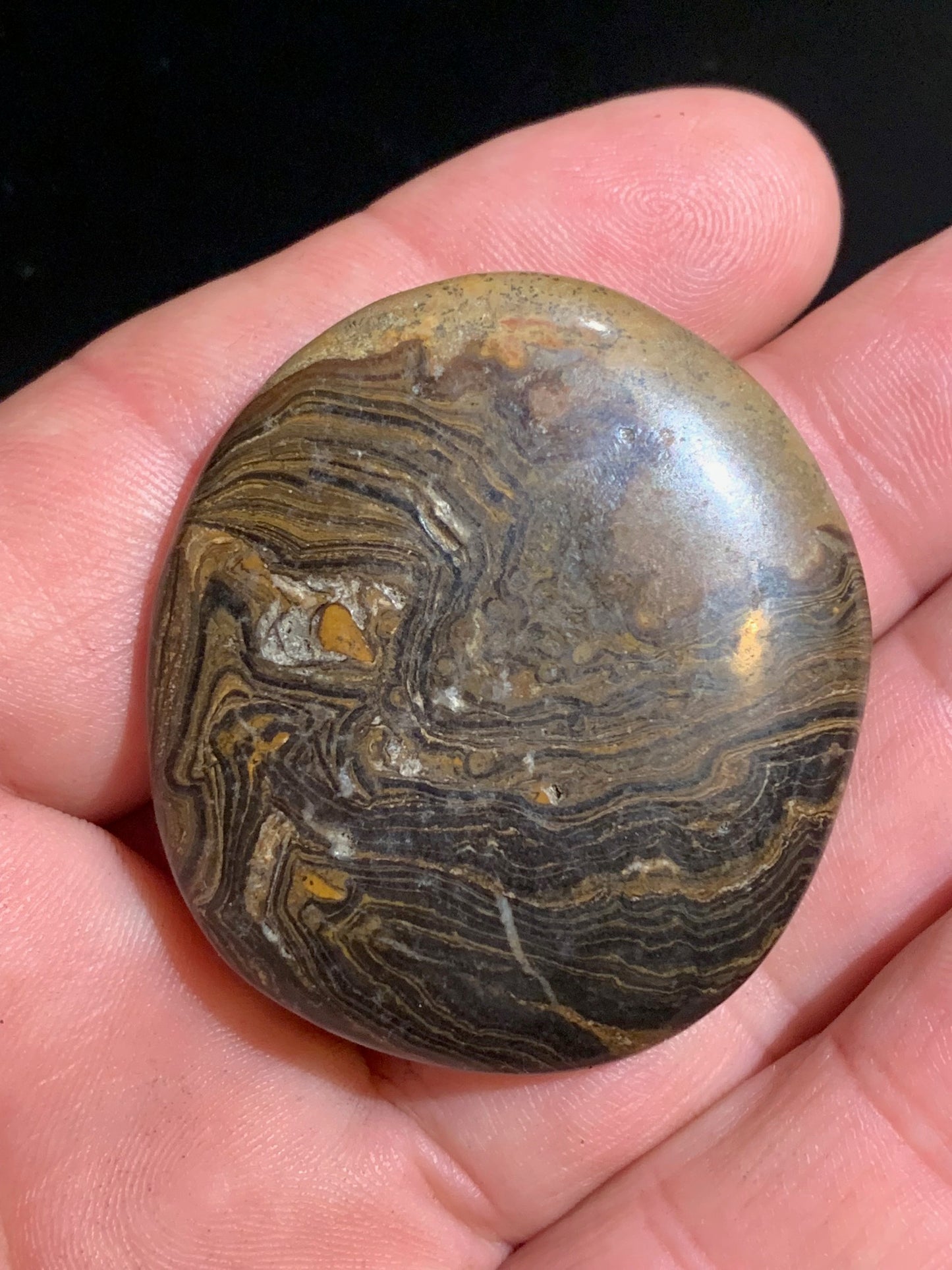 Stromatolite, galet/ pierre plate de 46 x 42 x 9 mm - 26,9 gr.