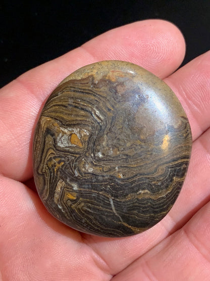 Stromatolite, galet/ pierre plate de 46 x 42 x 9 mm - 26,9 gr.