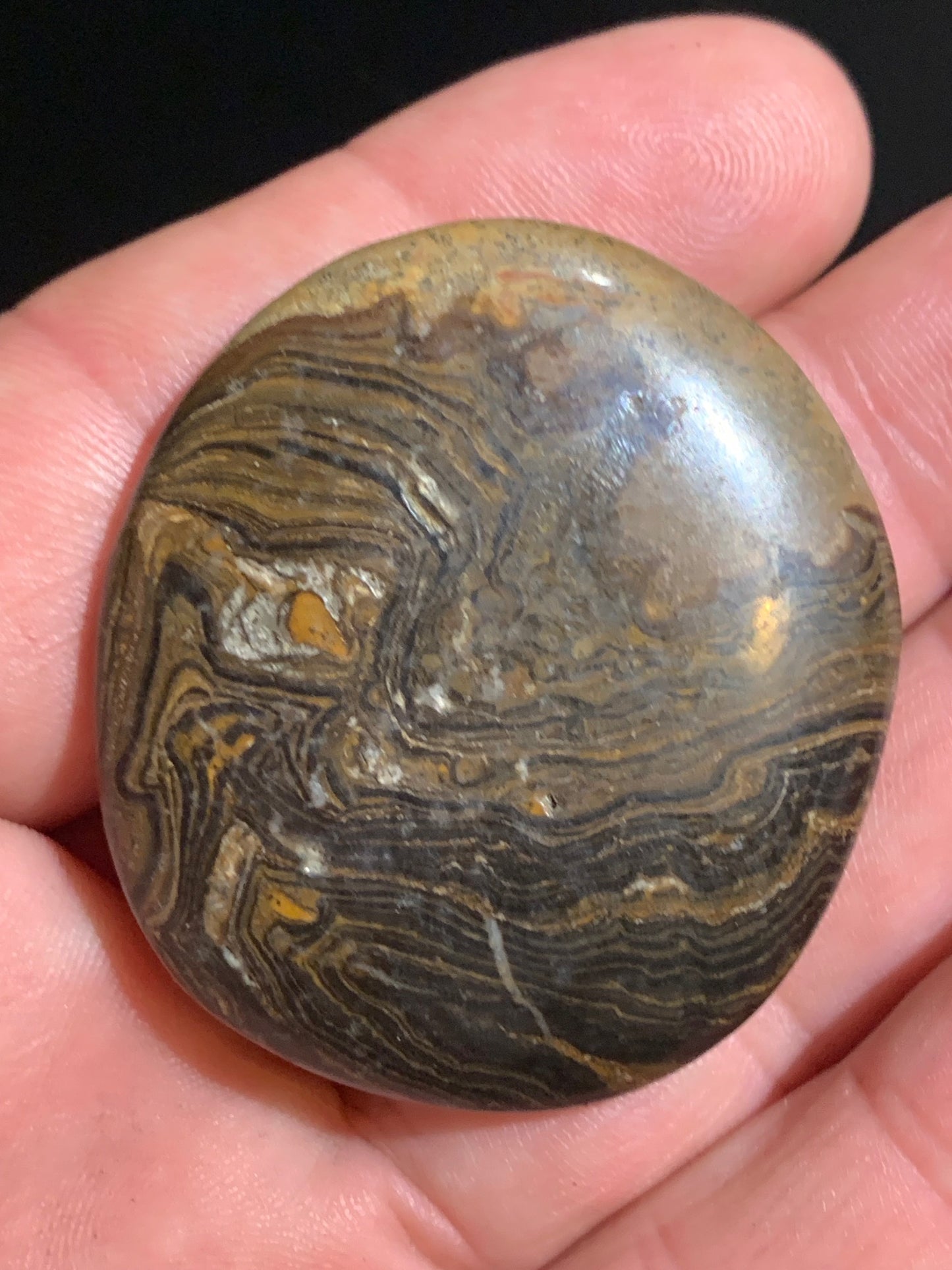 Stromatolite, galet/ pierre plate de 46 x 42 x 9 mm - 26,9 gr.