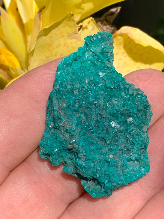 Dioptase, spécimen cristalisé de 50mm x 35 x 11 - 18,10 grammes ! Rare et puissante en minéralogie et lithothérapie !