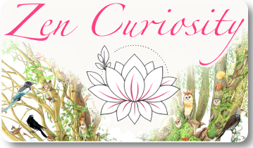 Zen Curiosity (ex Gem & Zen)