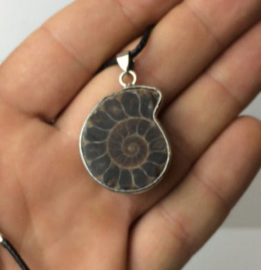 Beautiful Ammonite fossil pendant with a metal (brass) structure. Approximately 3.5 centimeters in diameter! Sold with or without a black cord and adjustable by 60 cm!