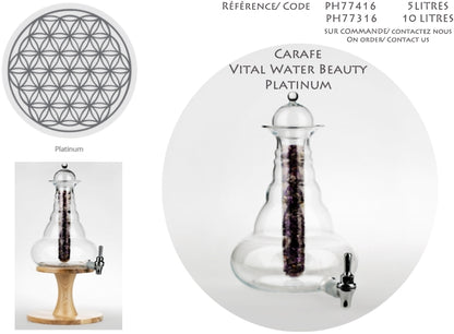 Carafe de taille XL, modèle 'Universe' de chez Nature's design, avec gravure de la fleur de vie en Platine. Contenance de 5 litres. Verre sans plomb, conçu suivant le nombre d'or ! Vendu avec ou sans support en bois !
