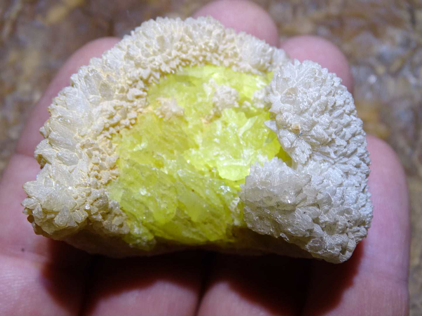Melanophlogite + soufre – Spécimen brut réagissant à la lampe U.V. – 54 x 40 x 38 mm – 56 gr.