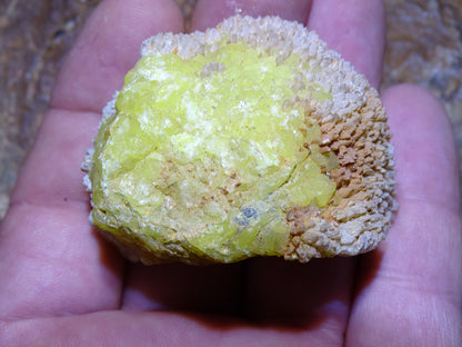 Melanophlogite + soufre – Spécimen brut réagissant à la lampe U.V. – 54 x 40 x 38 mm – 56 gr.
