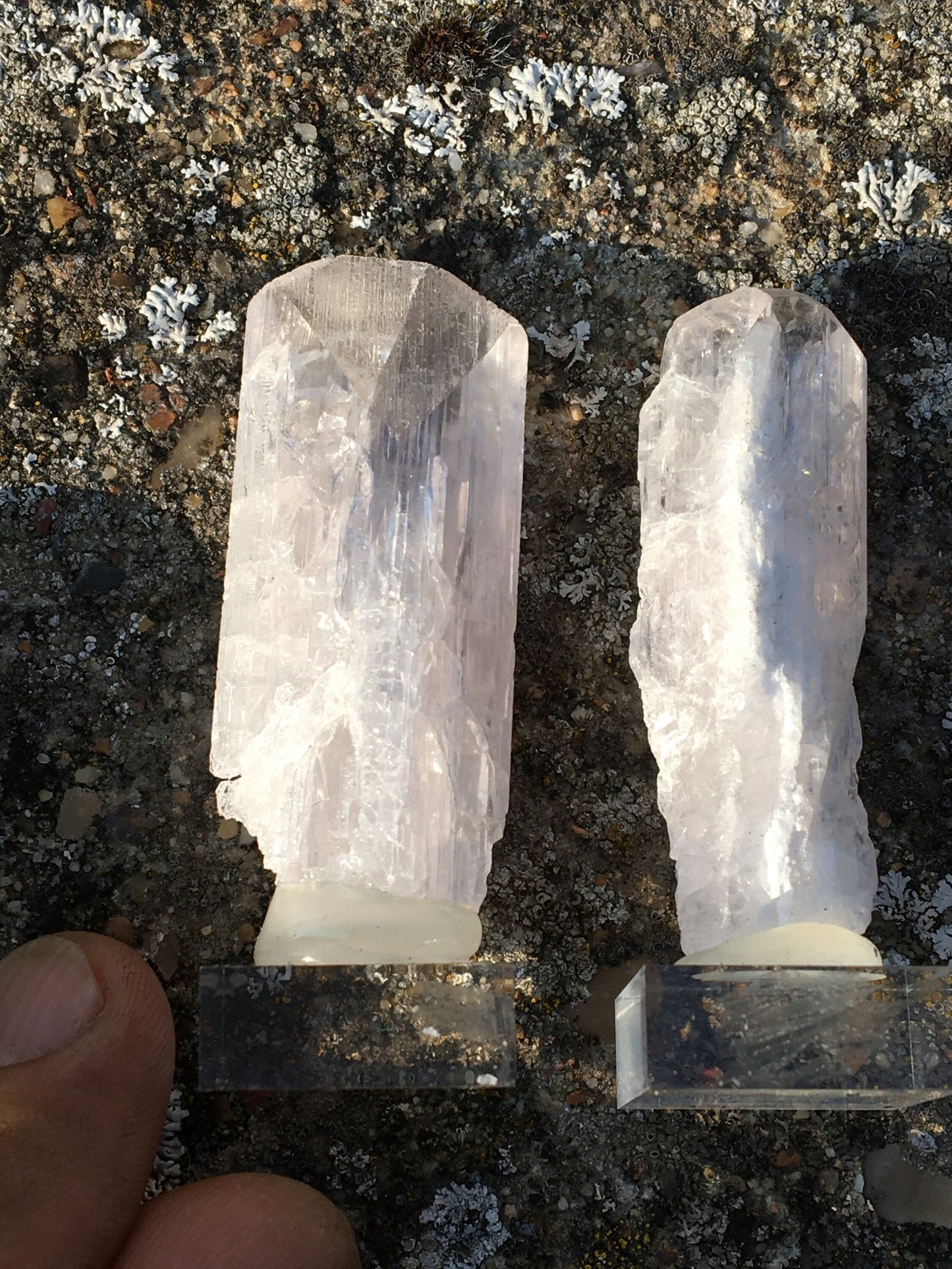 Damburite, 2 belles pièces sur socle de 50 x 25 x 10mm - 20 grammes. Parfait en collection, bijouterie, exposition...