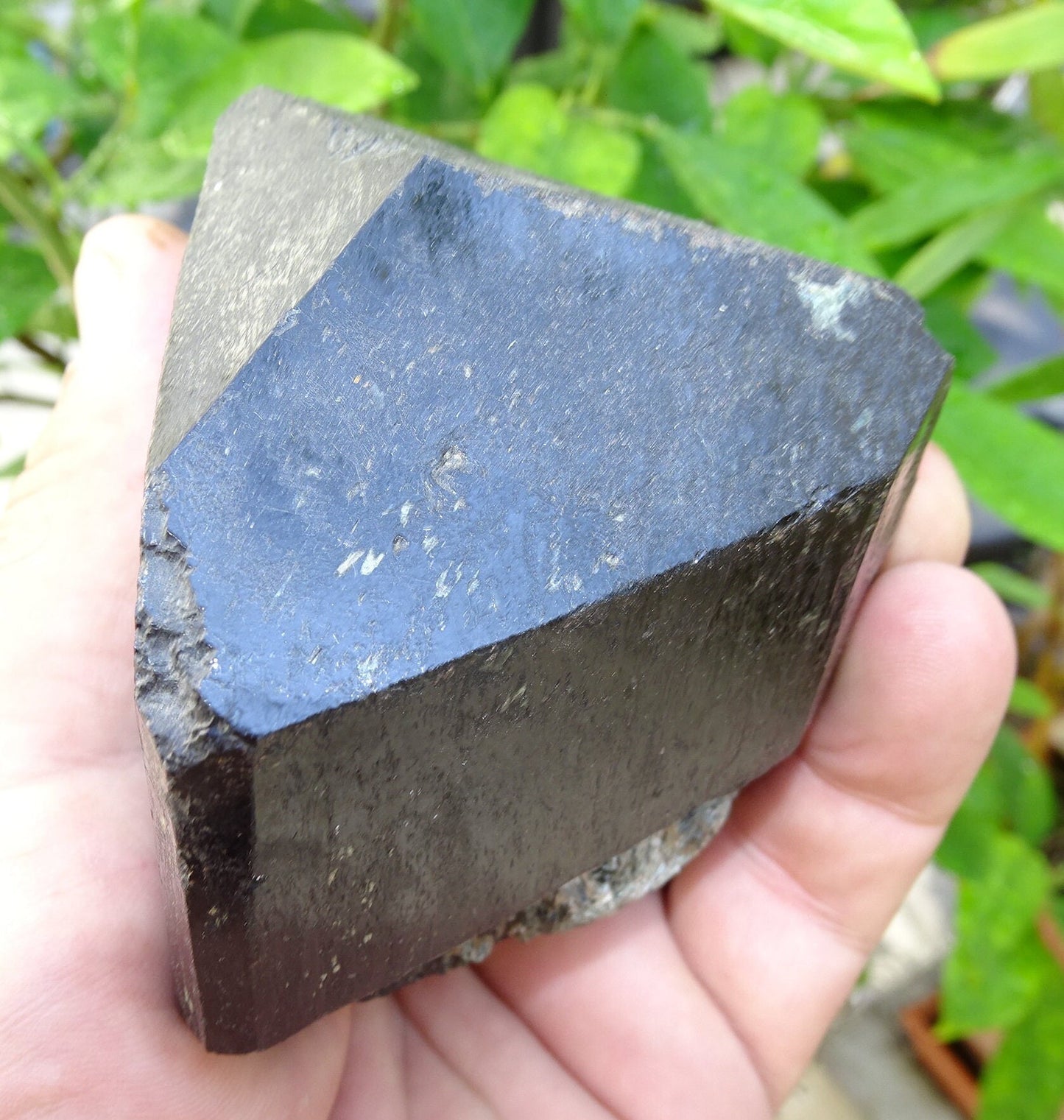 Tourmaline noire, spécimen naturel à 3 faces de 80 x 65 x 70 mm - 555 grammes. Une très belle et unique pièce !