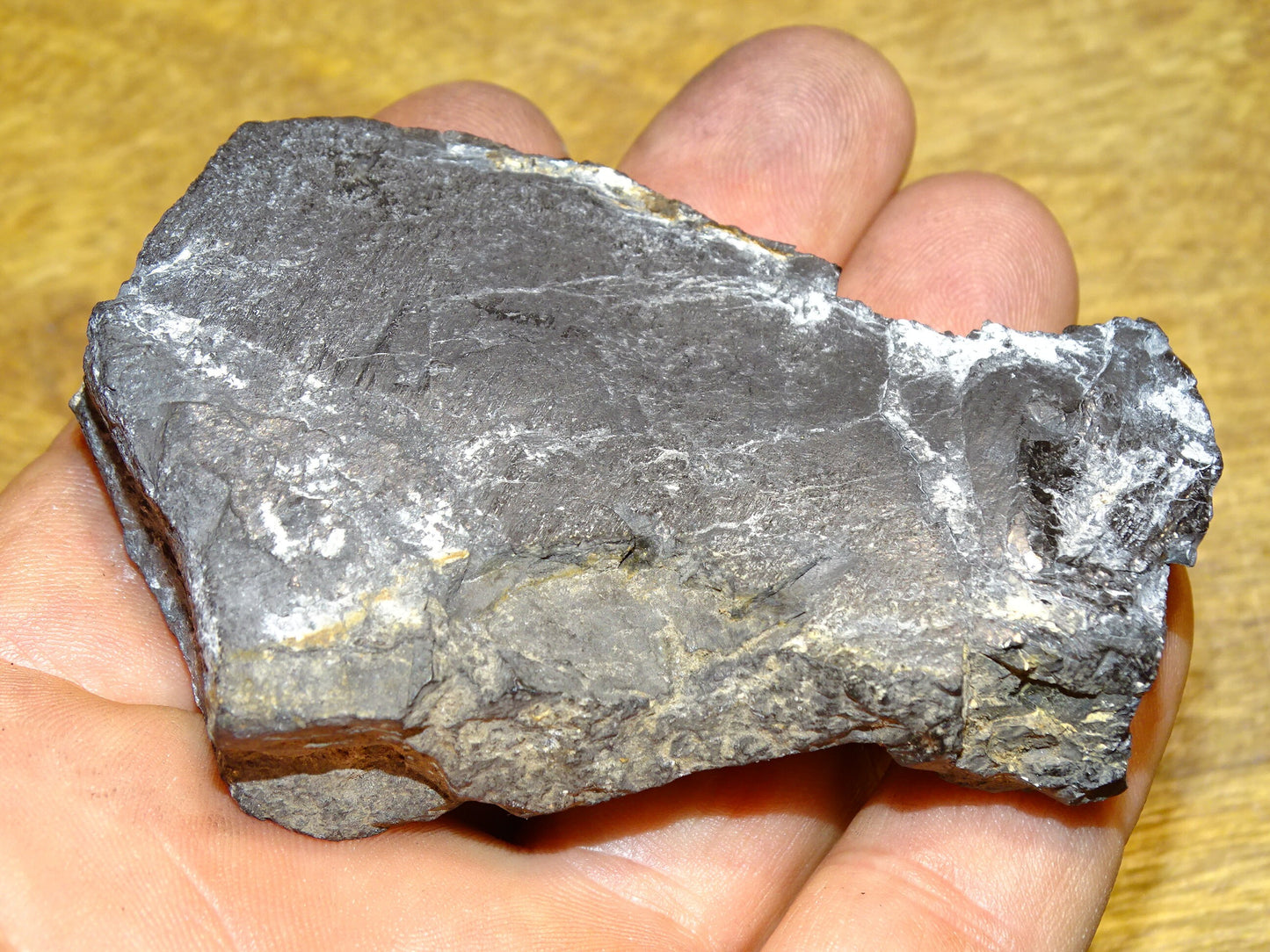 Shungite Petrovsky  – Pierre brute naturelle 75x55x25 mm, 40 g – Pièce rare et authentique !