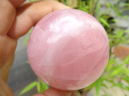 Rose Quartz Sphere, 50 and 90 millimeters, 205 to 1000 grams. A soft and luminous stone! Perfect for lithotherapy, collection, exhibition...! 
