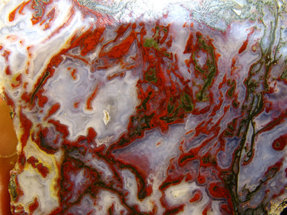 Agate mousse, magnifique spécimen de 62x50x22mm - 60,7 grammes. Des dessins et couleurs rares et uniques !