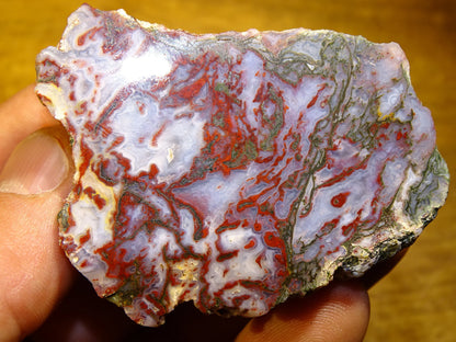 Agate mousse, magnifique spécimen de 62x50x22mm - 60,7 grammes. Des dessins et couleurs rares et uniques !
