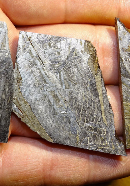 Météorite 'Muonionalusta', spéciment de 60x31x3mm - 20 grammes. De type IVA, qui s'est écrasée dans le nord de la Scandinavie !