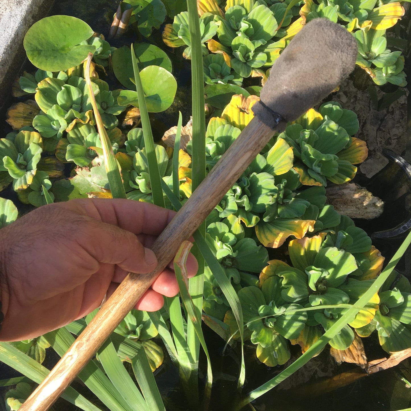 Tambour chamanique façon Sibérie avec motif "Viking" – Ø 58 cm – Vendu avec plumes décoratives, maillet et housse !