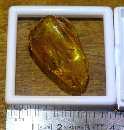 Ambre, spècimen de galet roulé avec insecte à l'intérieur, de 33x20x12 mm. Superbe pièce pour bijouterie ou collection !