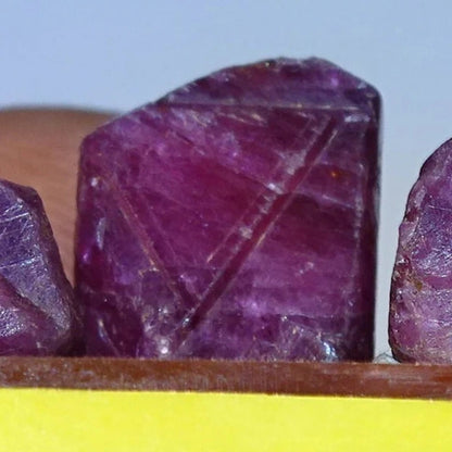 Rubis 'Trapiche', lot de 3 pièces de 10mm x7 x5 environ - 7,9 grammes/ 39,5 carats. Parfait en bijouterie, collection ,exposition...