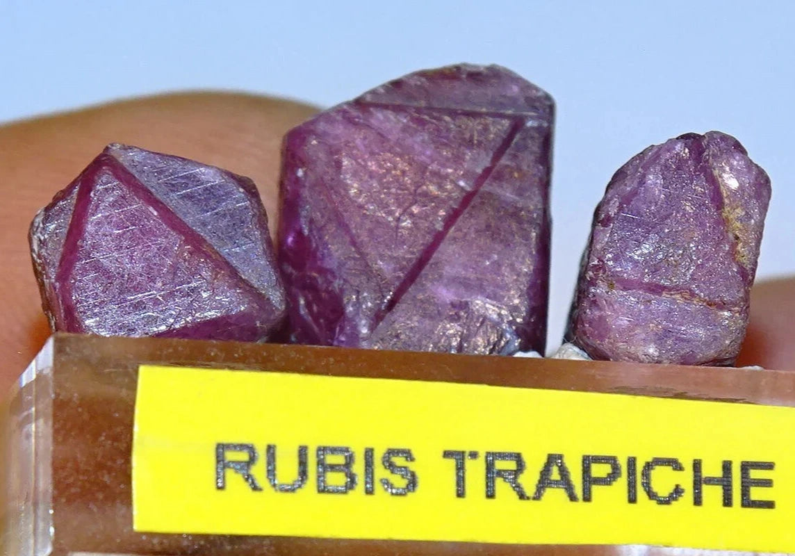 Rubis 'Trapiche', lot de 3 pièces de 10mm x7 x5 environ - 7,9 grammes/ 39,5 carats. Parfait en bijouterie, collection ,exposition...