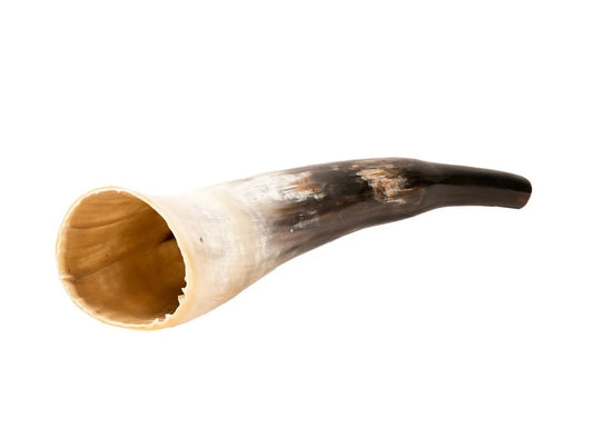Buffalo or ox horn horn, 2 models to choose from, also called Tuva. A powerful, penetrating and sustained sound! 