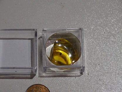 Ambre, spécimen de galet roulé avec insecte à l'intérieur, de 17x14x8 mm. Superbe pièce pour bijouterie ou collection !