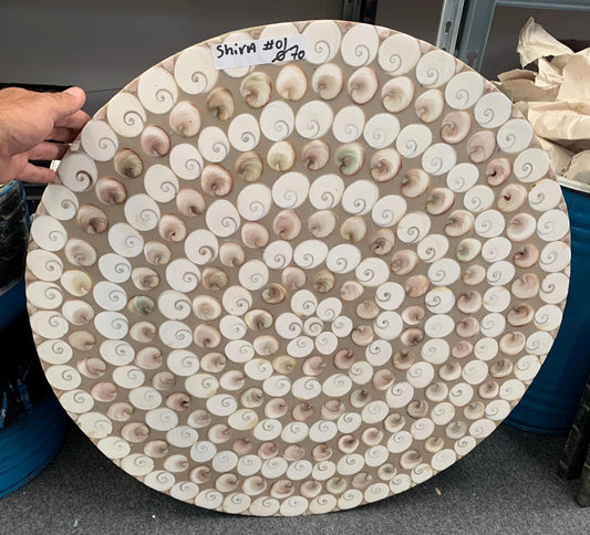 Table Ronde en coqullage (Œil de Sainte-Lucie), 70 x 3 cm. Parfait pour fabriquer la table de vos rêves ou en décoration, exposition...