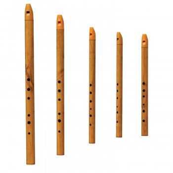 Flûte Irlandaise/ Irish Whistle, flûte irlandaise en bois et fibres, simple et solidement conçue, idéale pour jouer de la musique irlandaise traditionnelle !
