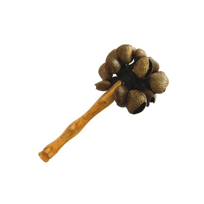 Hochets avec manche en bois et coquilles de graines, construction très robuste - 4 graines au choix