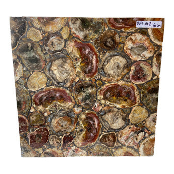 Table carré en tranches de Bois Fossile, 60x60x3 cm. Parfait pour fabriquer la table de vos rêves ou en décoration, exposition...