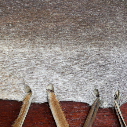 Mother drum, choice of Ø 100, 120, 140 cm. Sold with 2 suitable mallets, cover + table optional! 